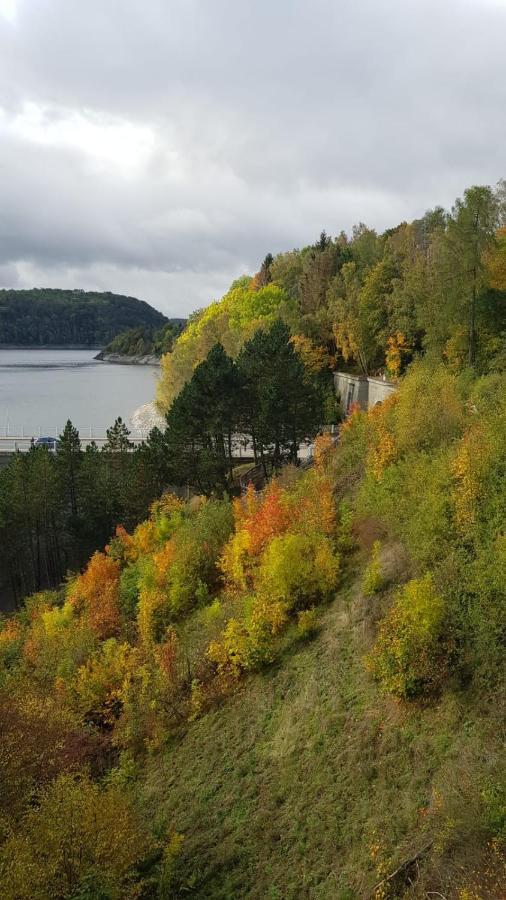 Ferienwohnung Reese- Horstmann mit Hallenbad und Sauna, WLAN Harz zu jeder Jahreszeit Bad Harzburg Exterior foto