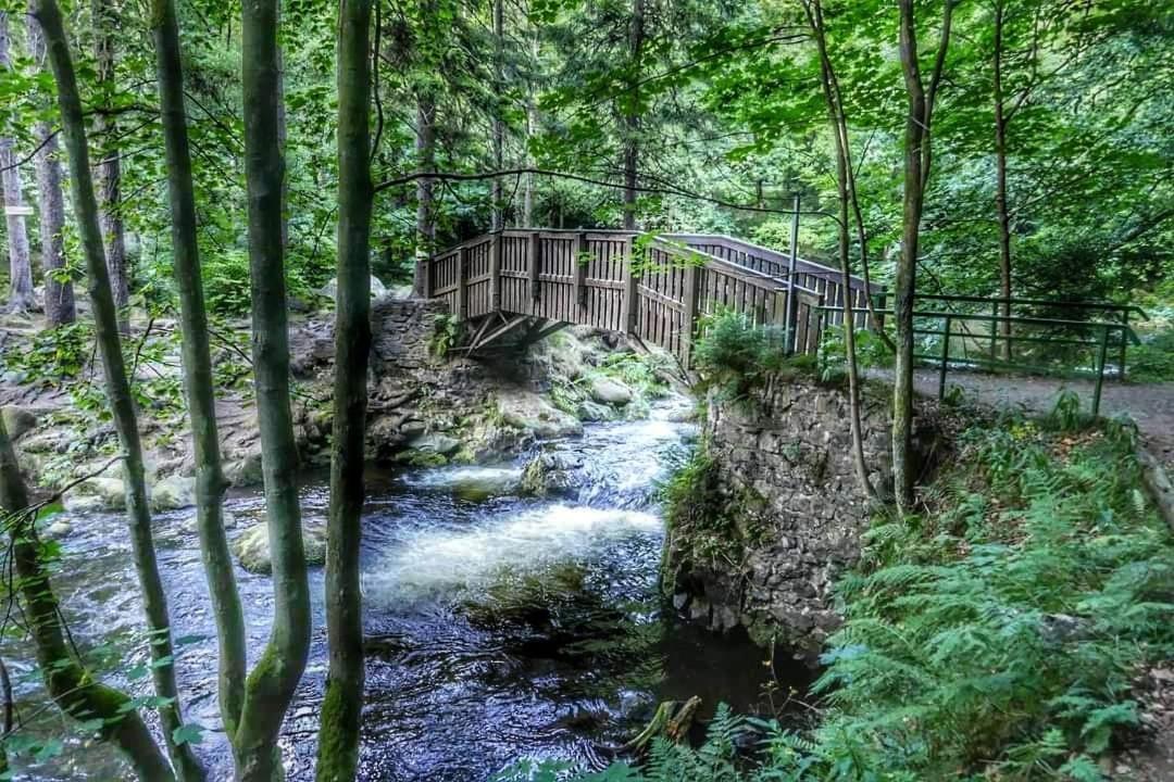 Ferienwohnung Reese- Horstmann mit Hallenbad und Sauna, WLAN Harz zu jeder Jahreszeit Bad Harzburg Exterior foto