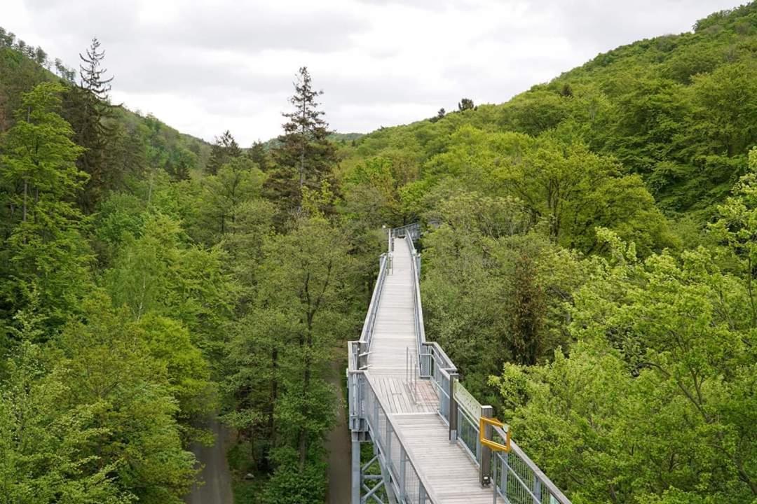 Ferienwohnung Reese- Horstmann mit Hallenbad und Sauna, WLAN Harz zu jeder Jahreszeit Bad Harzburg Exterior foto