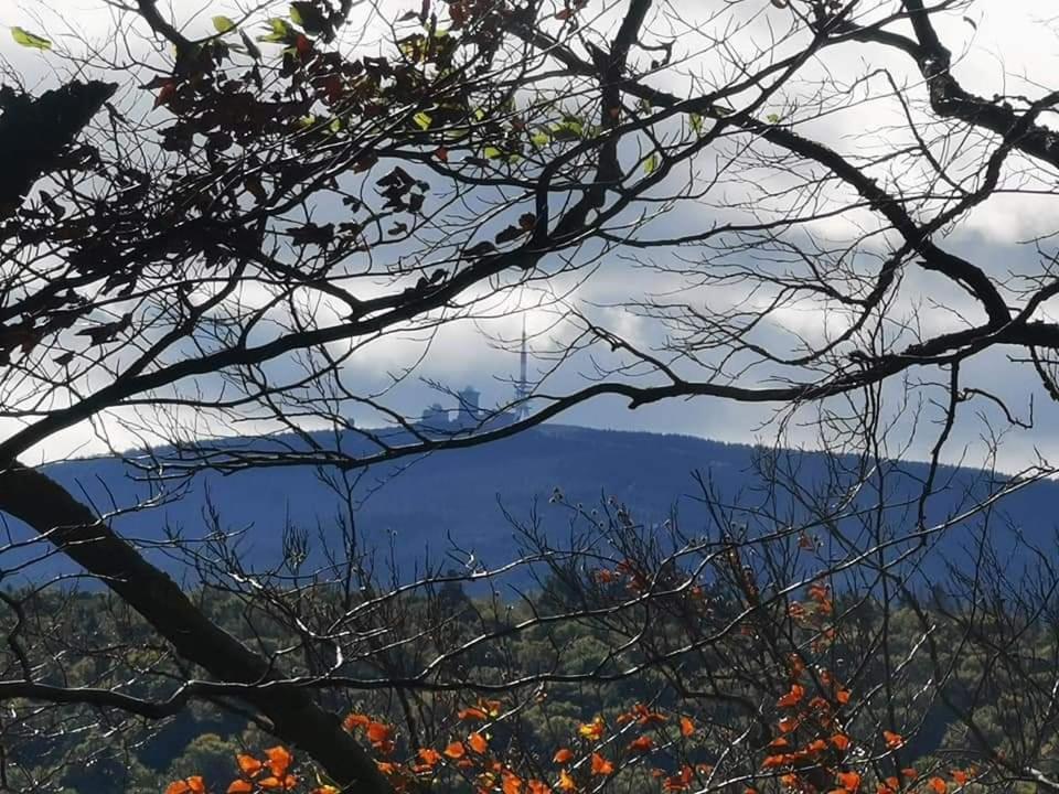 Ferienwohnung Reese- Horstmann mit Hallenbad und Sauna, WLAN Harz zu jeder Jahreszeit Bad Harzburg Exterior foto