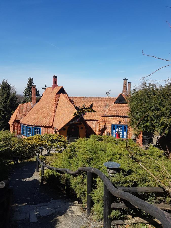 Ferienwohnung Reese- Horstmann mit Hallenbad und Sauna, WLAN Harz zu jeder Jahreszeit Bad Harzburg Exterior foto