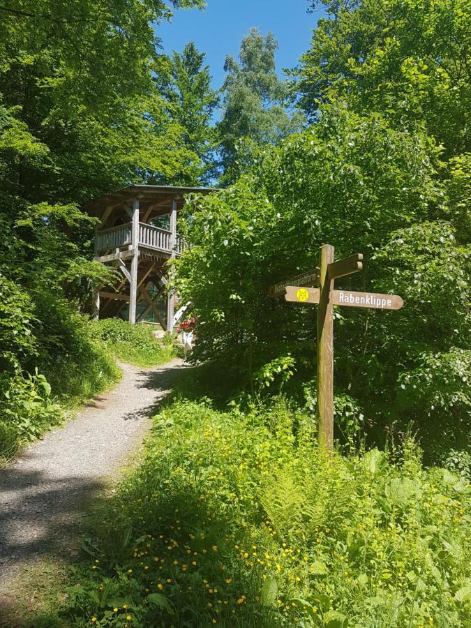 Ferienwohnung Reese- Horstmann mit Hallenbad und Sauna, WLAN Harz zu jeder Jahreszeit Bad Harzburg Exterior foto