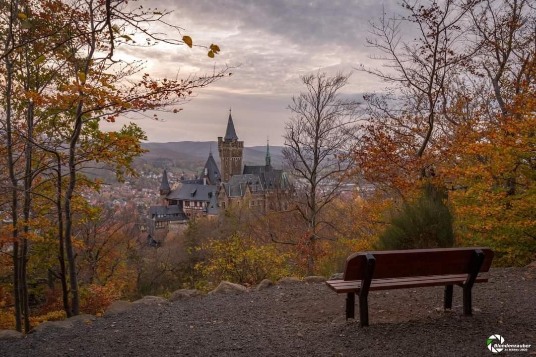 Ferienwohnung Reese- Horstmann mit Hallenbad und Sauna, WLAN Harz zu jeder Jahreszeit Bad Harzburg Exterior foto