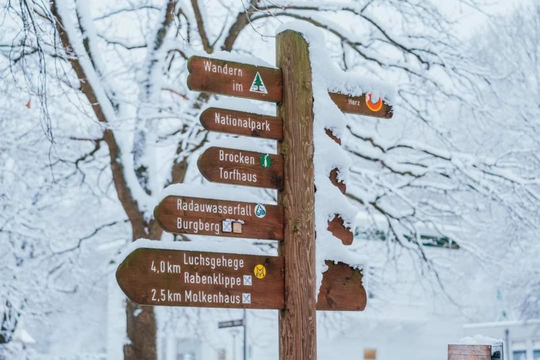 Ferienwohnung Reese- Horstmann mit Hallenbad und Sauna, WLAN Harz zu jeder Jahreszeit Bad Harzburg Exterior foto