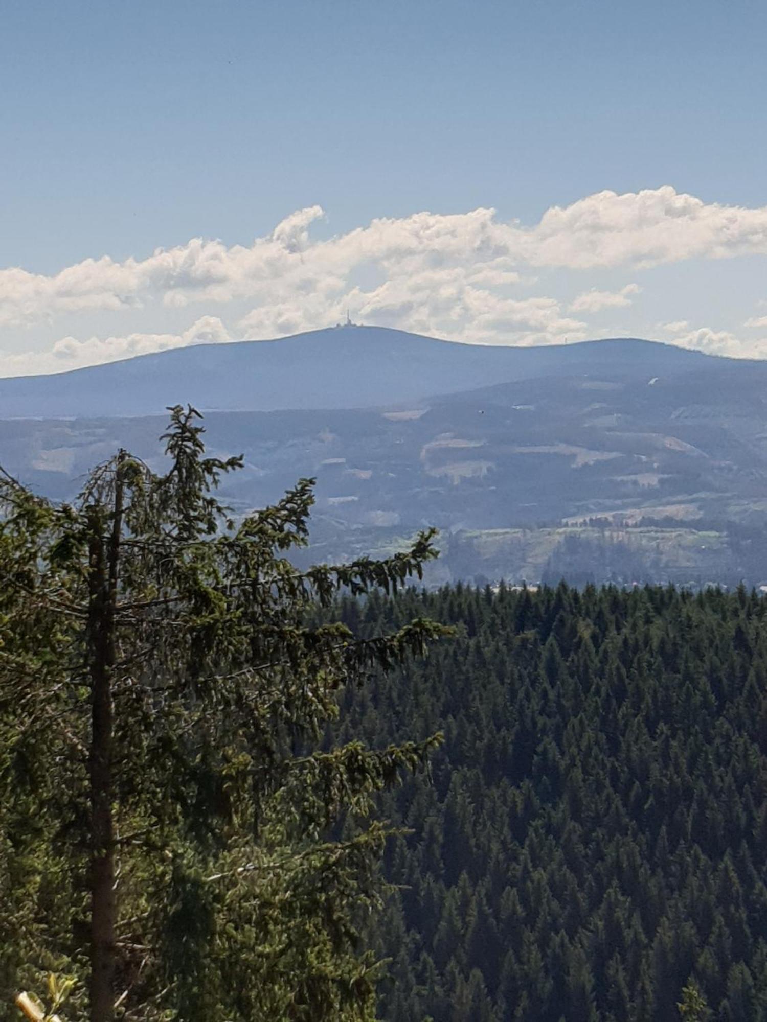 Ferienwohnung Reese- Horstmann mit Hallenbad und Sauna, WLAN Harz zu jeder Jahreszeit Bad Harzburg Zimmer foto