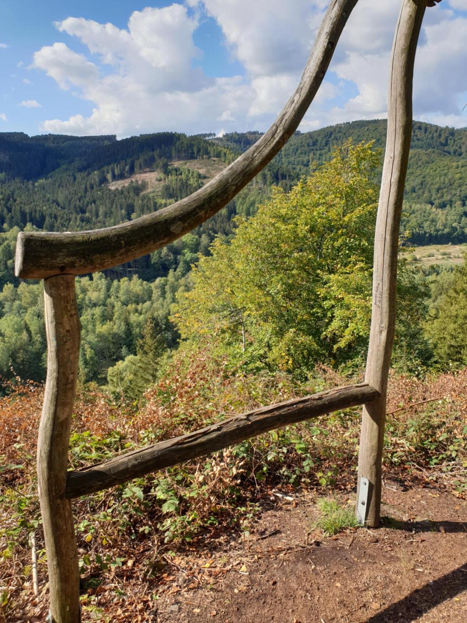 Ferienwohnung Reese- Horstmann mit Hallenbad und Sauna, WLAN Harz zu jeder Jahreszeit Bad Harzburg Zimmer foto