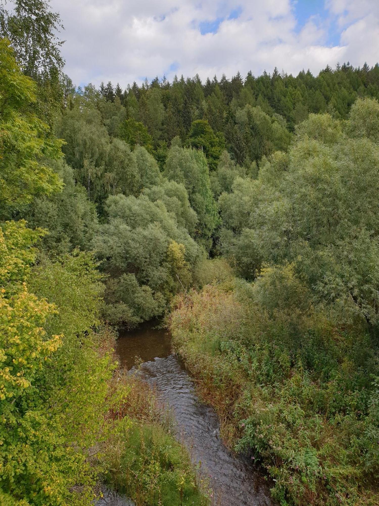 Ferienwohnung Reese- Horstmann mit Hallenbad und Sauna, WLAN Harz zu jeder Jahreszeit Bad Harzburg Zimmer foto