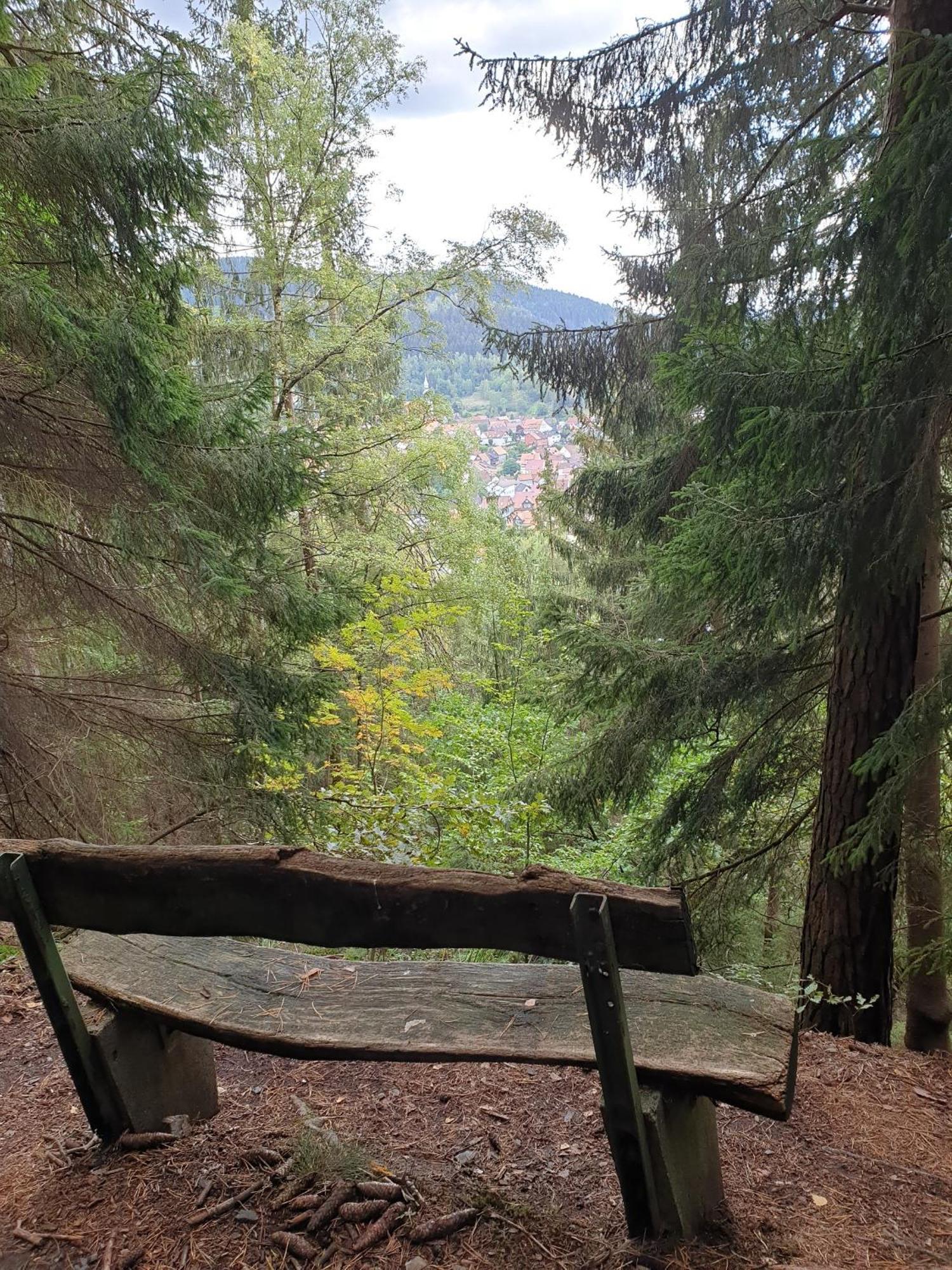 Ferienwohnung Reese- Horstmann mit Hallenbad und Sauna, WLAN Harz zu jeder Jahreszeit Bad Harzburg Zimmer foto
