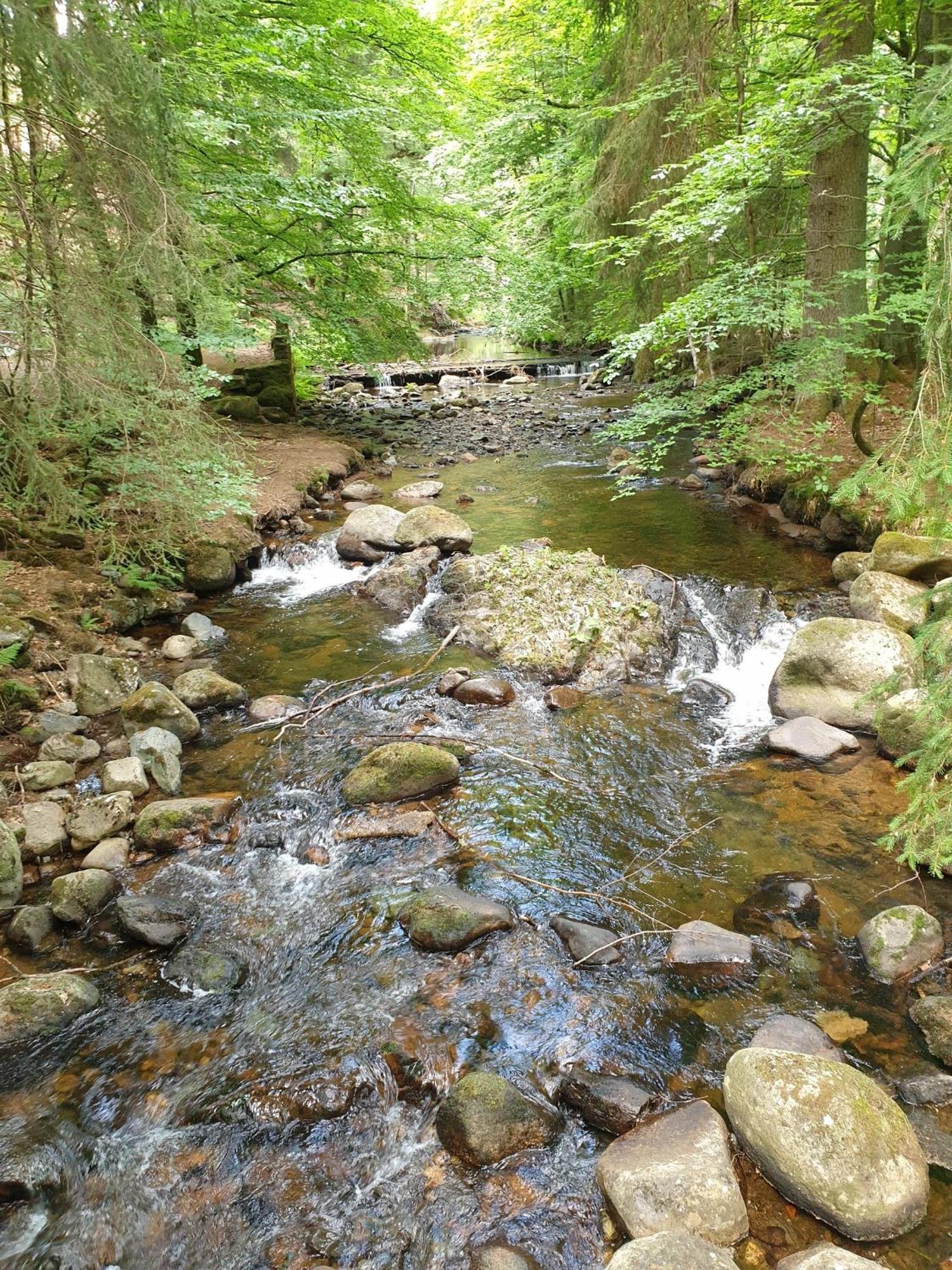 Ferienwohnung Reese- Horstmann mit Hallenbad und Sauna, WLAN Harz zu jeder Jahreszeit Bad Harzburg Zimmer foto